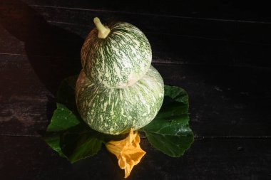 Balkabağı arka planda izole edilmiş. Tüm dünyada en popüler sebzedir. Diğer adları argyrosperma, Cucurbita pepo ve Cucurbita maxima. Yuvarlak balkabağı.