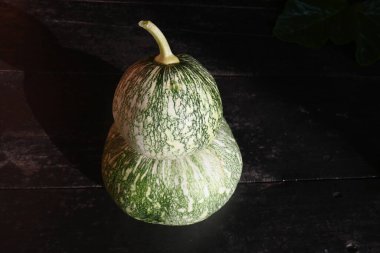 Balkabağı arka planda izole edilmiş. Tüm dünyada en popüler sebzedir. Diğer adları argyrosperma, Cucurbita pepo ve Cucurbita maxima. Yuvarlak balkabağı.