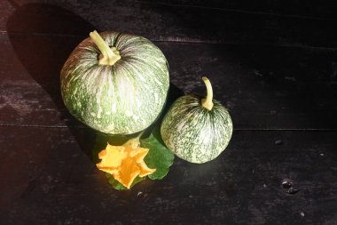 Balkabağı arka planda izole edilmiş. Tüm dünyada en popüler sebzedir. Diğer adları argyrosperma, Cucurbita pepo ve Cucurbita maxima. Yuvarlak balkabağı.