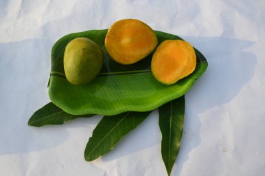 Mango dilimi. Mango aynı zamanda meyvelerin kralı olarak da bilinir. Bu meyve tüm dünyada popüler ve lezzetli bir meyvedir. Mangifera indica 'nın diğer isimleri. Olgun mango.