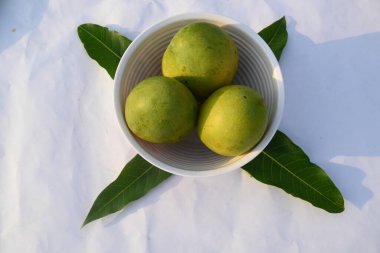 Olgun mango. Mango aynı zamanda meyvelerin kralı olarak da bilinir. Bu meyve tüm dünyada popüler ve lezzetli bir meyvedir. Mangifera indica 'nın diğer isimleri.. 
