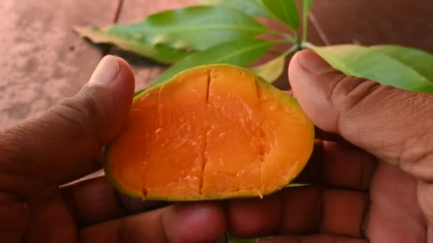 マンゴースライス マンゴーも果物の王と呼ばれます この果物は世界中で人気があり おいしい果物です マンギフェラ インディカという別の名前だ マンゴーの熟す — ストック動画
