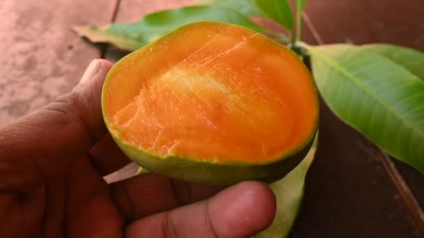芒果片芒果也被称为水果之王 这种水果是世界上受欢迎的 美味的水果 它的其他名称Mangifera Indica 成熟的芒果 — 图库视频影像