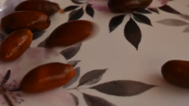 ナツメヤシの果実 別名フェニックスDactylifera ヤシ科の花生植物種であるイタスは 食用甘味料として栽培されています スローモーションビデオ — ストック動画