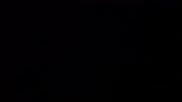 Rayo Cae Oscuridad Una Noche Lluviosa Una Hermosa Vista Del — Vídeo de stock