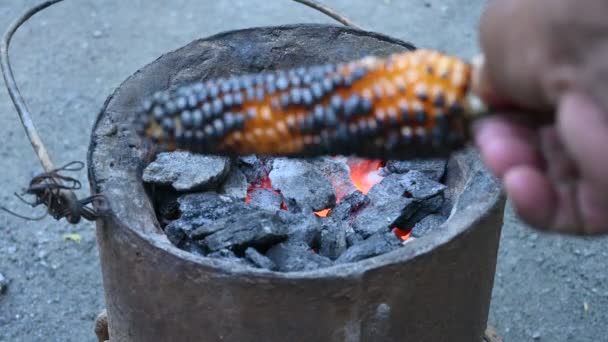 Grilled Corn Cobs Coal Stove Fresh Roasted Corncobs Coal Fire — Wideo stockowe