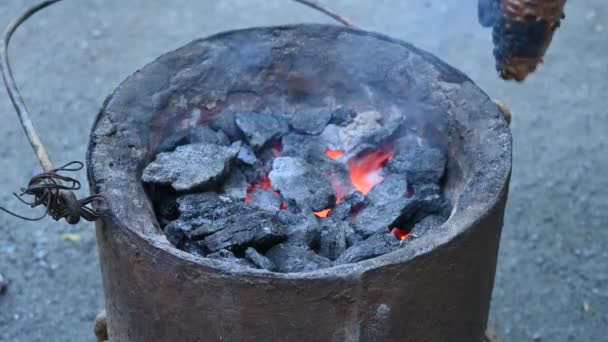Grilled Corn Cobs Coal Stove Fresh Roasted Corncobs Coal Fire — Video Stock