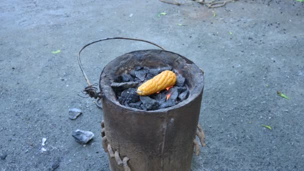 Grilled Corn Cobs Coal Stove Fresh Roasted Corncobs Coal Fire — Video Stock