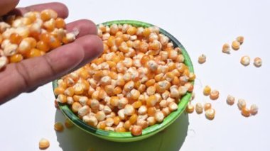 Beyaz arka planda izole edilmiş kasedeki kuru mısır tohumları. Diğer isimleri mısır, Zea mays, şeker ya da çubuk mısır. Bu vejetaryen zımba yiyeceği. Birçok vitaminin kaynağıdır. Patlamamış mısır. 