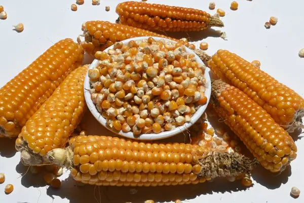 Dry corn seeds in bowl isolated on white background. Its other names maize, Zea mays, sugar or pole corn. This is vegetarian staple food. It is a source of many vitamins. Unpopped popcorn.