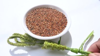 Eleusine coracana veya parmak darı. Hindistan 'da Ragi ve Madua ve Nepal' de Kodo olarak adlandırılır. Yıllık otçul bitkidir. Afrika ve Asya 'da yaygın olarak mısır gevreği olarak yetişir..