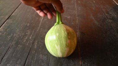 Balkabağı sebzesi. Tüm dünyada en popüler sebzedir. Diğer adları argyrosperma, Cucurbita pepo ve Cucurbita maxima. Balkabağı çiçeği.. 