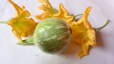 Balkabağı sebzesi. Tüm dünyada en popüler sebzedir. Diğer adları argyrosperma, Cucurbita pepo ve Cucurbita maxima. Balkabağı çiçeği.. 