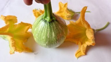 Balkabağı sebzesi. Tüm dünyada en popüler sebzedir. Diğer adları argyrosperma, Cucurbita pepo ve Cucurbita maxima. Balkabağı çiçeği.. 