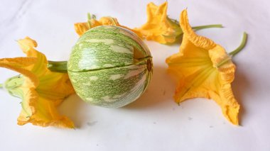 Balkabağı sebzesi. Tüm dünyada en popüler sebzedir. Diğer adları argyrosperma, Cucurbita pepo ve Cucurbita maxima. Balkabağı çiçeği.. 