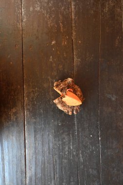 Fil ayağı yer elması. Daha çok Güney Asya, Afrika 'da yetişen tropik bir yumru mahsulü. Diğer adı Amorphophallus peeoniifolius ve whitespot dev arum. Hindistan 'da yetişmiş fil ayağı yer elması..