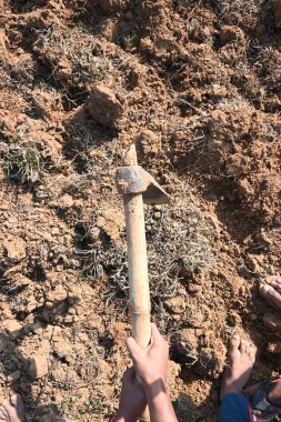 Çiftçi tarlayı kazıyor. Toprak ekme hazırlığı. Çiftçi çiftliğinde çalışıyor ve tarlayı hazırlıyor. Toprak kazmak için çiftçi eli ve alet. Tarım faaliyetleri.