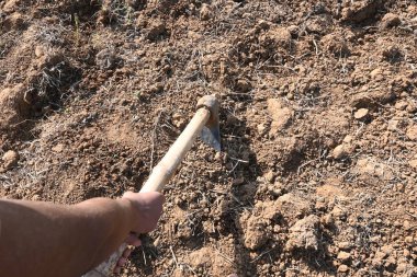 Çiftçi tarlayı kazıyor. Toprak ekme hazırlığı. Çiftçi çiftliğinde çalışıyor ve tarlayı hazırlıyor. Toprak kazmak için çiftçi eli ve alet. Tarım faaliyetleri.