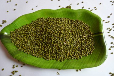 Mung fasulyesi. Diğer isimleri Vigna radiata, yeşil gram, maash, mung, monggo, kacang hijau ve munggo. Bu bitki türleri, bu familyayı oluşturur. Hem lezzetli hem de tatlı yemeklerde malzeme olarak kullanılır..