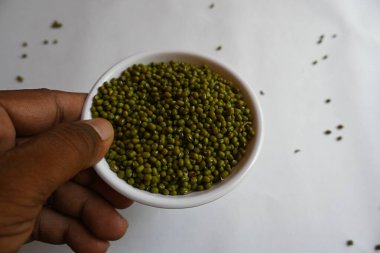 Mung fasulyesi. Diğer isimleri Vigna radiata, yeşil gram, maash, mung, monggo, kacang hijau ve munggo. Bu bitki türleri, bu familyayı oluşturur. Hem lezzetli hem de tatlı yemeklerde malzeme olarak kullanılır..