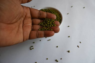 Mung fasulyesi. Diğer isimleri Vigna radiata, yeşil gram, maash, mung, monggo, kacang hijau ve munggo. Bu bitki türleri, bu familyayı oluşturur. Hem lezzetli hem de tatlı yemeklerde malzeme olarak kullanılır..