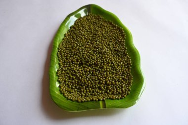 Mung fasulyesi. Diğer isimleri Vigna radiata, yeşil gram, maash, mung, monggo, kacang hijau ve munggo. Bu bitki türleri, bu familyayı oluşturur. Hem lezzetli hem de tatlı yemeklerde malzeme olarak kullanılır..