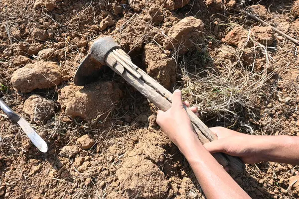 Çiftçi tarlayı kazıyor. Toprak ekme hazırlığı. Çiftçi çiftliğinde çalışıyor ve tarlayı hazırlıyor. Toprak kazmak için çiftçi eli ve alet. Tarım faaliyetleri.