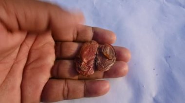 Millettia pinnata tohumu. Fabaceae familyasından bir ağaç türü. Diğer adı Pongamiapinnata, Hint biechandPongame Petrol Ağacı. Petrol tohumlarından çıkarılır. Ayurvedic tıp.