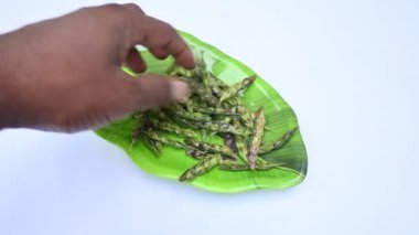 Yeşil bezelye kabuğu. Diğer adı Cajanus cajan, güvercin bezelyesi, kırmızı gramortur. Bu Fabaceae ailesinden bir daimi nidyedir..