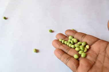 Taze yeşil güvercin bezelyesi. Diğer adı Cajanus cajan, güvercin bezelyesi, kırmızı gramortur. Bu Fabaceae ailesinden bir daimi nidyedir..