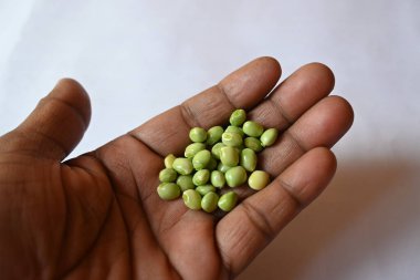 Taze yeşil güvercin bezelyesi. Diğer adı Cajanus cajan, güvercin bezelyesi, kırmızı gramortur. Bu Fabaceae ailesinden bir daimi nidyedir..