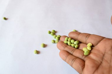 Taze yeşil güvercin bezelyesi. Diğer adı Cajanus cajan, güvercin bezelyesi, kırmızı gramortur. Bu Fabaceae ailesinden bir daimi nidyedir..