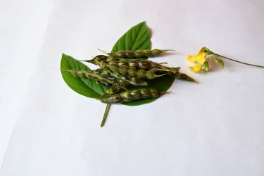 Yeşil bezelye kabuğu. Diğer adı Cajanus cajan, güvercin bezelyesi, kırmızı gramortur. Bu Fabaceae ailesinden bir daimi nidyedir..