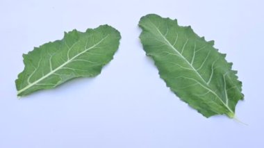 Beyaz arka planda karnabahar. Brassica familyasından, Brascaceae familyasından birkaç sebzeden biridir. Diğer isimleri Brassica oleracea, Brüksel lahanası ve Cole.
