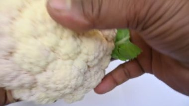 Beyaz arka planda karnabahar. Brassica familyasından, Brascaceae familyasından birkaç sebzeden biridir. Diğer isimleri Brassica oleracea, Brüksel lahanası ve Cole.