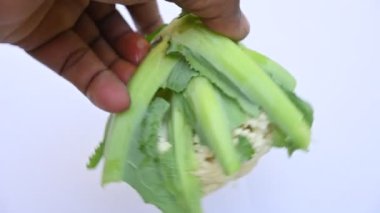 Beyaz arka planda karnabahar. Brassica familyasından, Brascaceae familyasından birkaç sebzeden biridir. Diğer isimleri Brassica oleracea, Brüksel lahanası ve Cole.