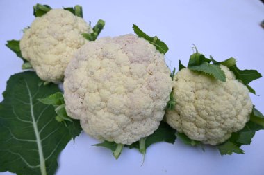 Beyaz arka planda karnabahar. Brassica familyasından, Brascaceae familyasından birkaç sebzeden biridir. Diğer isimleri Brassica oleracea, Brüksel lahanası ve Cole.