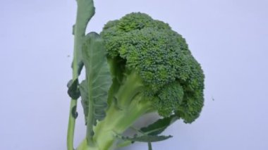 Beyaz arka planda brokoli. Diğer adı Brassica oleracea var italica. Bu lahana familyasından yenilebilir yeşil bir bitki. Brokoli özellikle zengin bir C ve K vitamini kaynağıdır..