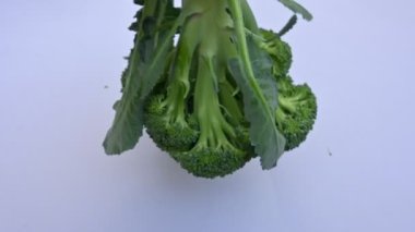 Beyaz arka planda brokoli. Diğer adı Brassica oleracea var italica. Bu lahana familyasından yenilebilir yeşil bir bitki. Brokoli özellikle zengin bir C ve K vitamini kaynağıdır..