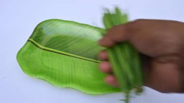 Yeşil fasulye. İçinde birçok vitamin bulunur. Diğer isimleri Fransız fasulyesi, çalı fasulyesi, fasulye, bisküvi, ve Fransız ismi Haricot vert. Dünyanın en popüler sebzesi.. 