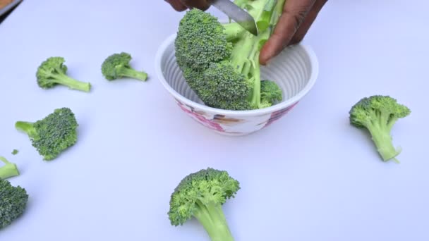 Corte Brócoli Con Cuchillo Sus Otros Nombres Brassica Oleracea Var — Vídeos de Stock