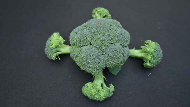 Brócoli Sobre Fondo Bhlack Sus Otros Nombres Brassica Oleracea Var — Vídeos de Stock
