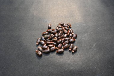 Siyah arka planda Castor tohumları. Ricinus Communis (