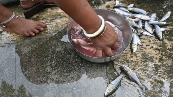 Mulher Indiana Mão Limpeza Peixe Vídeo Câmara Lenta Peixe Rohu — Vídeo de Stock