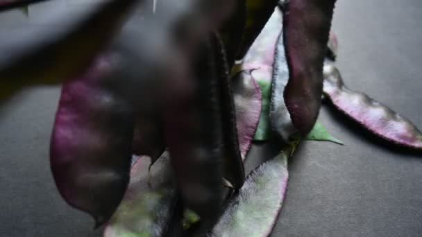 Лабораторный Пурпурный Овощ Вид Бобовых Семействе Fabaceae Другие Названия Lablab — стоковое видео