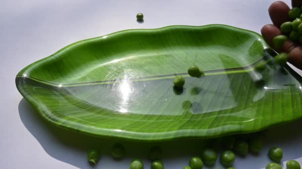 白色背景的新鲜绿豆 里面有很多维生素和矿物质 最常见的是小球状种子或种子 世界上受欢迎的蔬菜 慢动作视频 — 图库视频影像
