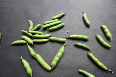 Siyah arka planda Vicia Faba sebzesi. Diğer adı fasulye, fava fasülyesi, veya faba fasülyesi. Bu bir tür vejetaryendir. Bezelye ve fasulye familyasında çiçek açan bir bitki..