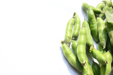 Beyaz arka planda Vicia Faba sebzesi. Diğer adı fasulye, fava fasülyesi, veya faba fasülyesi. Bu bir tür vejetaryendir. Bezelye ve fasulye familyasında çiçek açan bir bitki..