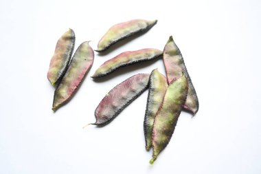 Laboratuvar Purpureus sebzesi. Fabaceae familyasından bir fasulye türüdür. Diğer isimleri labrador fasulyesi, bonavist bezelye, dolichos fasülyesi, seim, labrador, mısır fasulyesi, Hindistan fasulyesi..