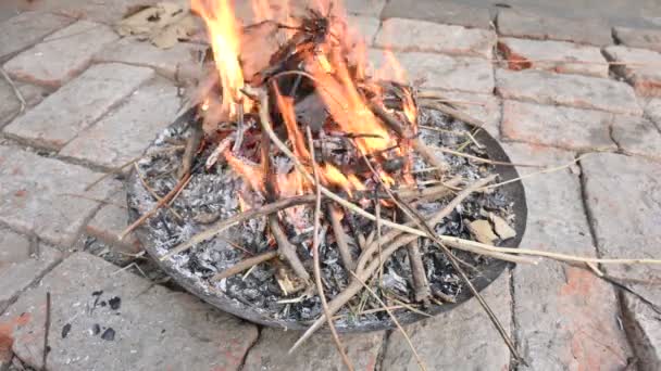 Doutnající Dřevěný Oheň Oheň Rozdmýcháván Foukáním Dřevěný Oheň Venkovská Oblast — Stock video